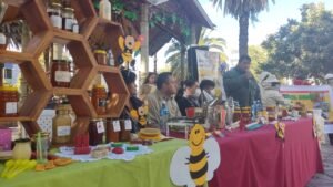 Gobernación apoya a productores de miel en busca de nuevos mercados