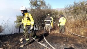 Incendios devoran 10.277 hectáreas en Tarija ante la amenaza de la peor sequía en 20 años