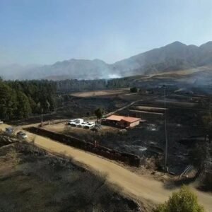 Incendios devoran más de 8.200 hectáreas: ABT se suma como víctima a denuncias penales