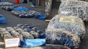 Felcn secuestra 208 paquetes de marihuana ocultos en un taxi y aprehende al conductor