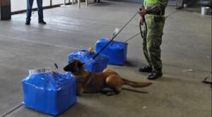 Hallan casi dos toneladas de cocaína líquida que estaba a punto de salir por Pisiga