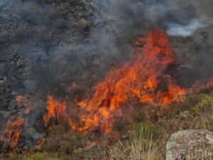 Alerta en los hospitales por el aumento de afecciones respiratorias y oculares tras los recientes incendios