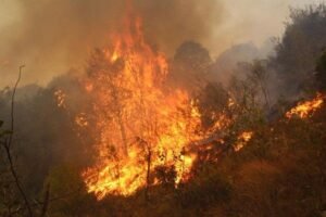 Bolivia llega a la temporada seca con solo dos helicópteros para enfrentar el fuego