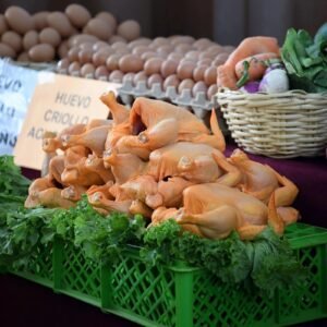 FEDJUVE exige frenar el alza del precio del pollo en Tarija