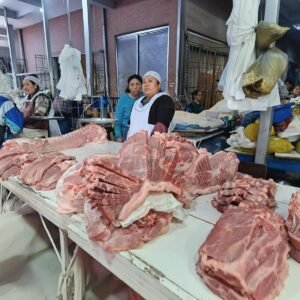 Alza del diésel e insumos golpea al sector porcino: anticipan incremento en el precio de la carne de cerdo