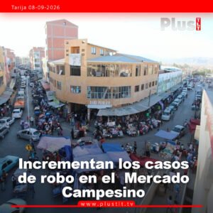 Incrementan los casos de robo en el  Mercado Campesino