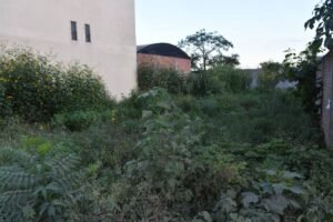 Municipio notifica a propietarios de lotes baldíos abandonados