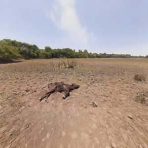 Tarija activa un plan de contingencia de Bs 475 mil para mitigar el impacto de «El Niño»