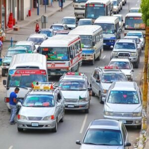 Transporte libre propone chips de control de combustible y rechaza aumentos arbitrarios