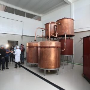 Empresarios de Tarija advierten caída del 40% en la actividad privada por crisis económica