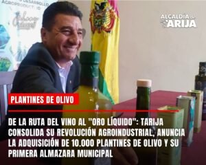 DE LA RUTA DEL VINO AL “ORO LÍQUIDO”