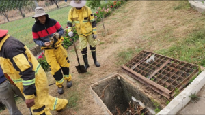 Municipio de Tarija trabaja en la limpieza de boca tormentas, escombros y lotes baldíos