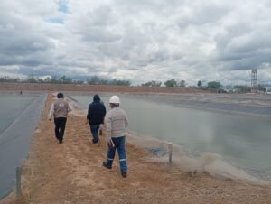 SENASAG frena el registro sanitario de la mega planta piscícola por serias deficiencias