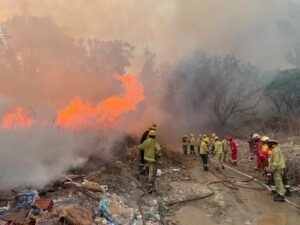 Controlan fuego en la zona de Calderillas tras arrasar con más de 3.500 hectáreas de pastizales