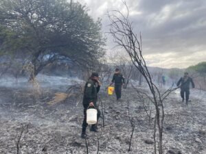 Policía investiga y busca identificar a los responsables de los incendios provocados en Calderillas