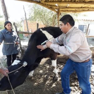 Confirman séptimo caso de rabia bovina y Senasag despliega brigadas de emergencia en Entre Ríos